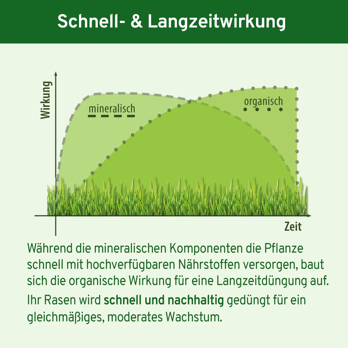 Animatio® Profi-Rasendünger 10Kg (Org-min NPK Dünger 12-3-8) – Rasengrün.de