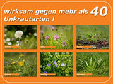 Celaflor 3579 Rasen-Unkrautfrei Weedex, Hochwirksamer Unkrautvernichter zur Bekämpfung von schwer bekämpfbaren Unkräutern im Rasen, Konzentrat, 400 ml Flasche