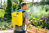 GLORIA Kolbenrückensprühgerät Hobby 1200 | 12 L Gartenspritze | Rückenspritze mit Druckregler | Gepolsterte Schultergurte